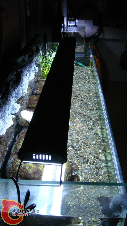 全景3.jpg