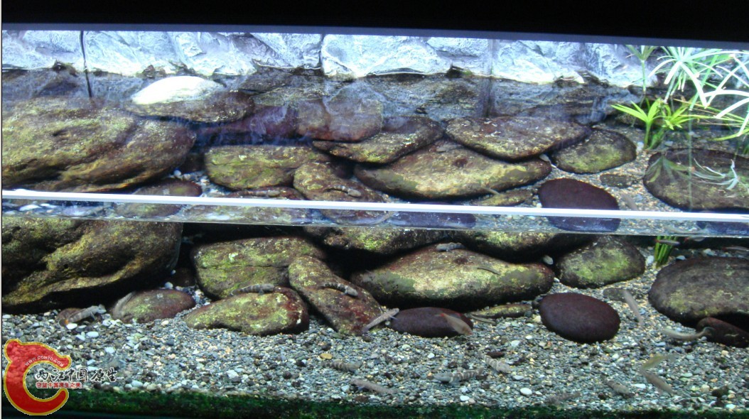细节1.jpg