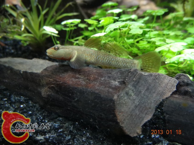 DSC00245.JPG