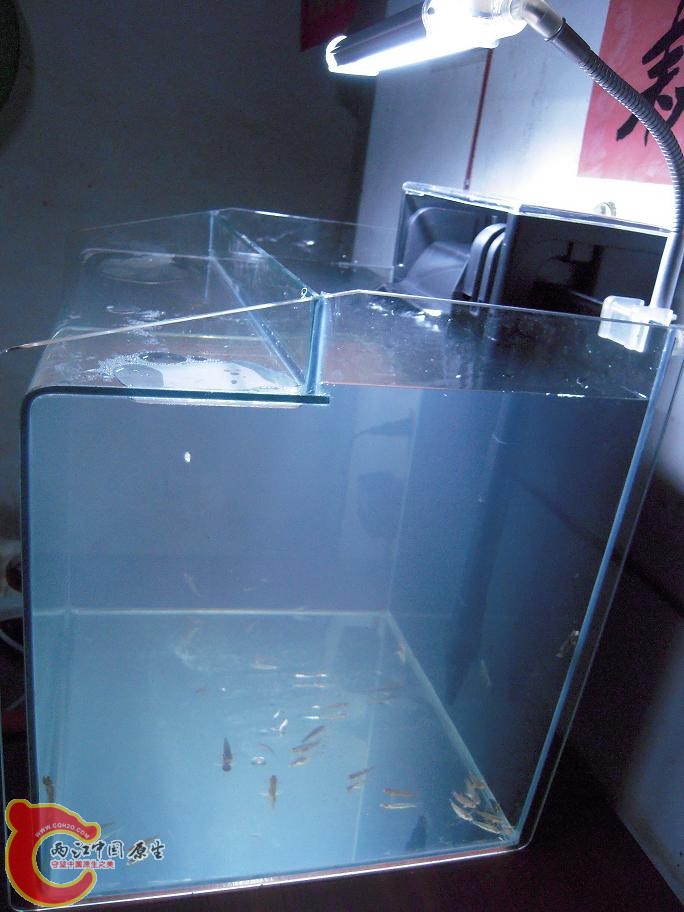 DSCN1642.JPG