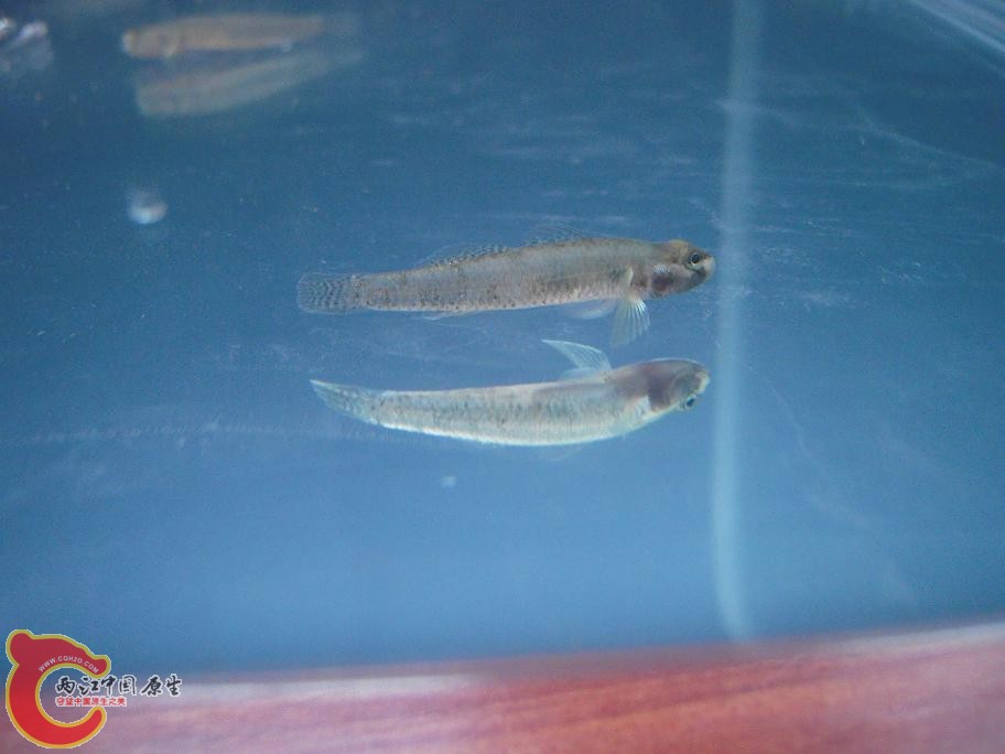 DSCN1646.JPG