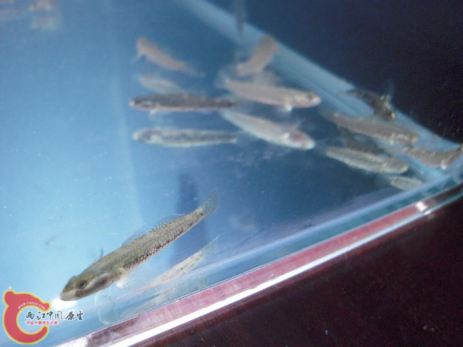 DSCN1639.JPG