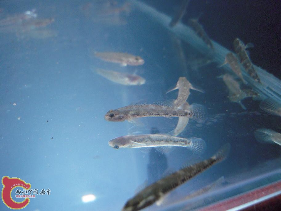 DSCN1634.JPG
