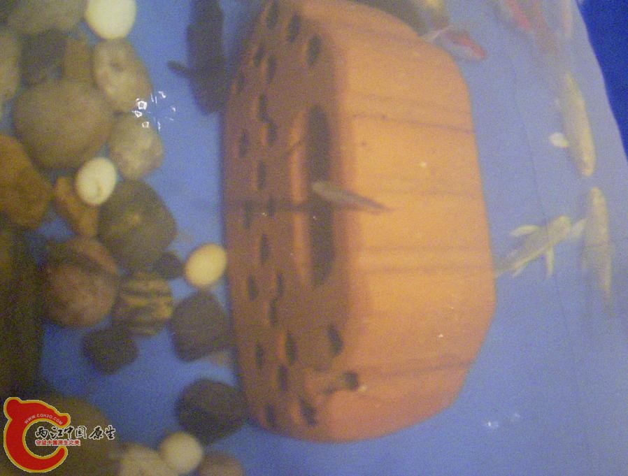 现在的样子-1.jpg