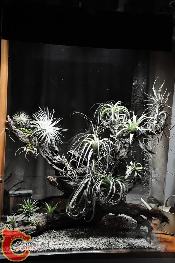 照片 068.JPG