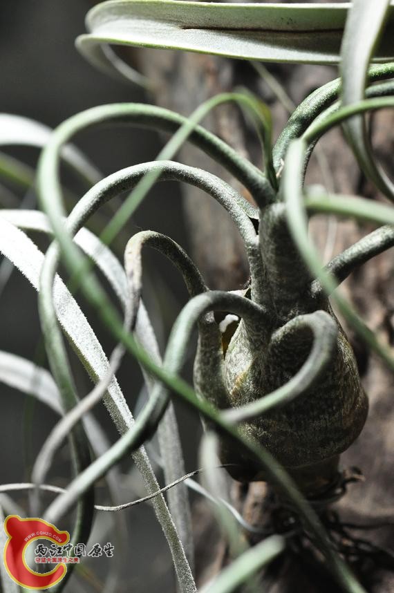 照片 089.JPG