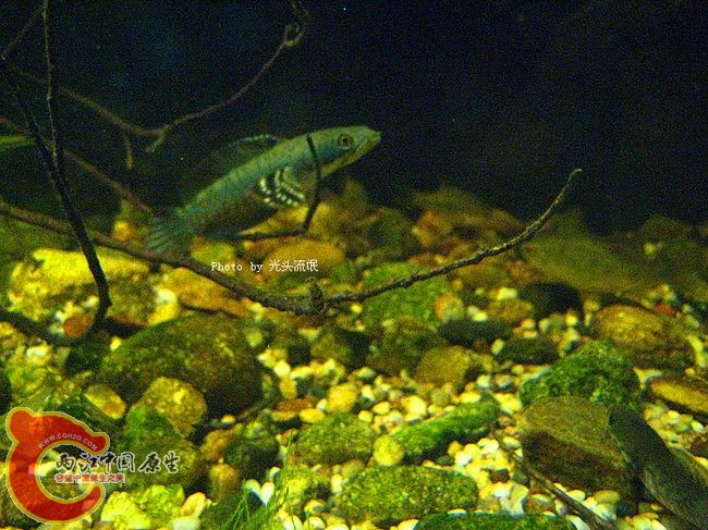 IMG_2491.jpg