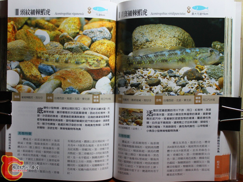 dIMG_7034_副本.jpg