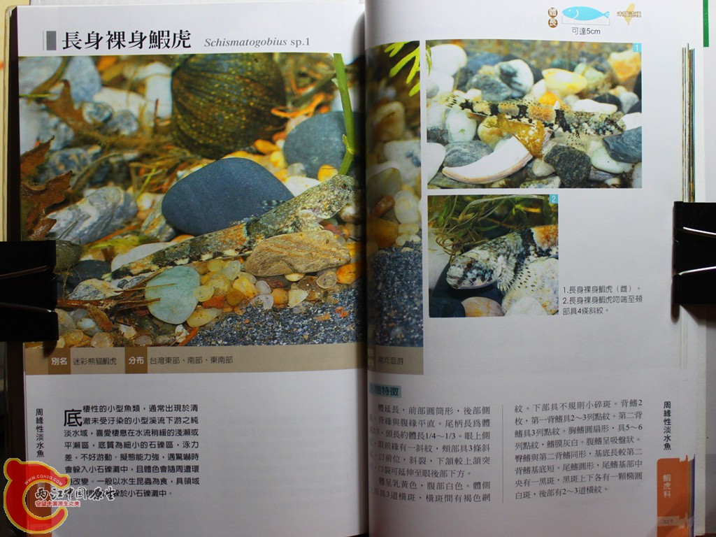 dIMG_7079_副本.jpg