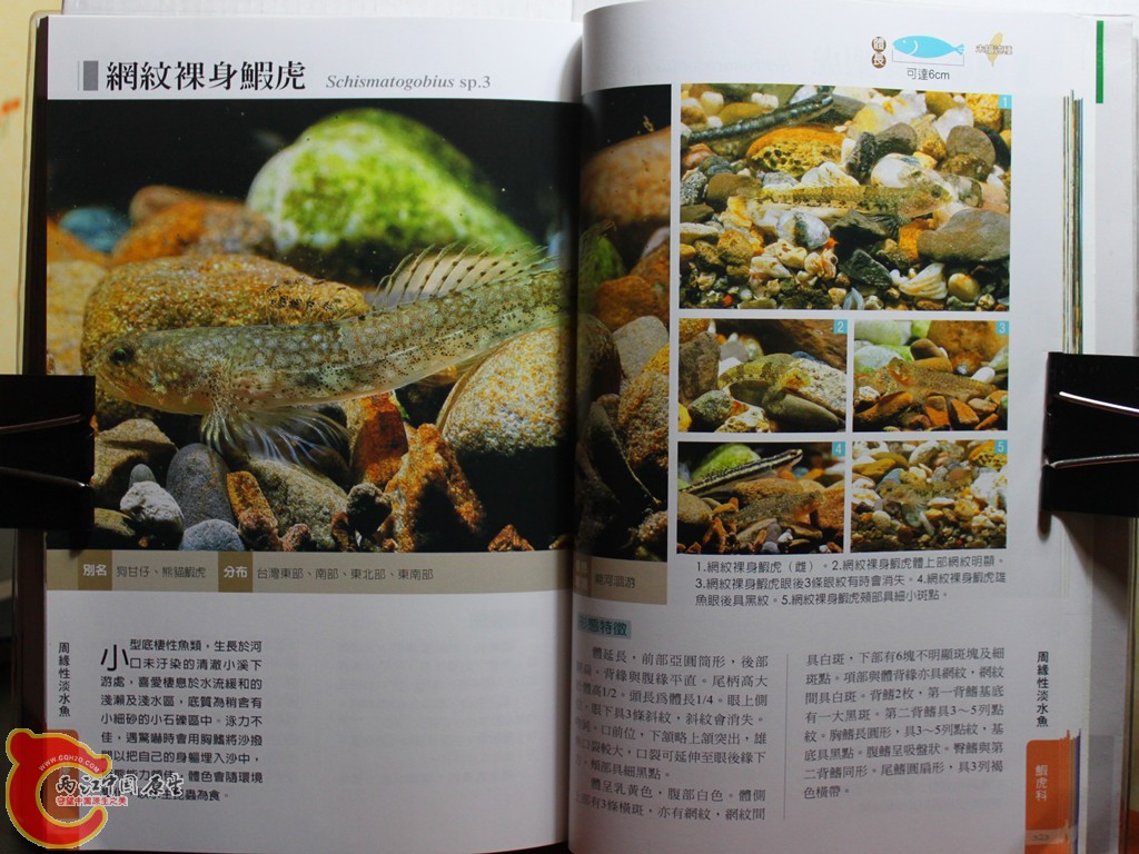 dIMG_7081_副本.jpg