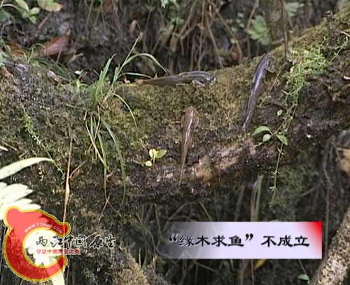 虎？？？？.jpg