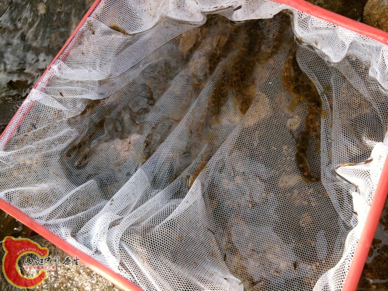 照片-0061.jpg