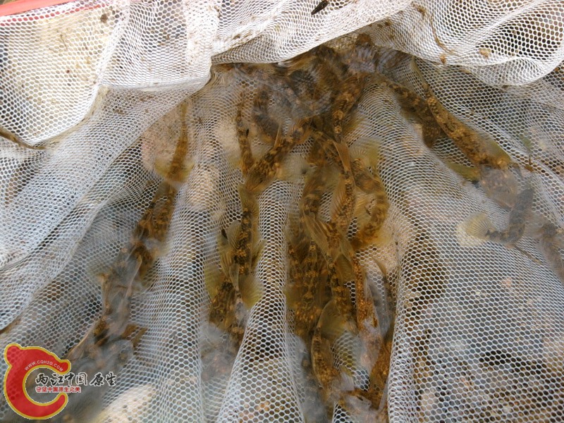 照片-0059.jpg