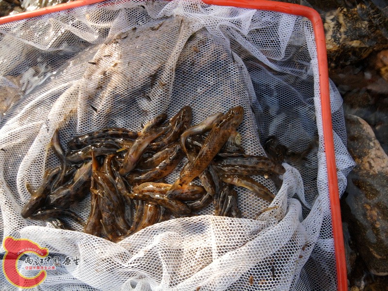 照片-0055.jpg