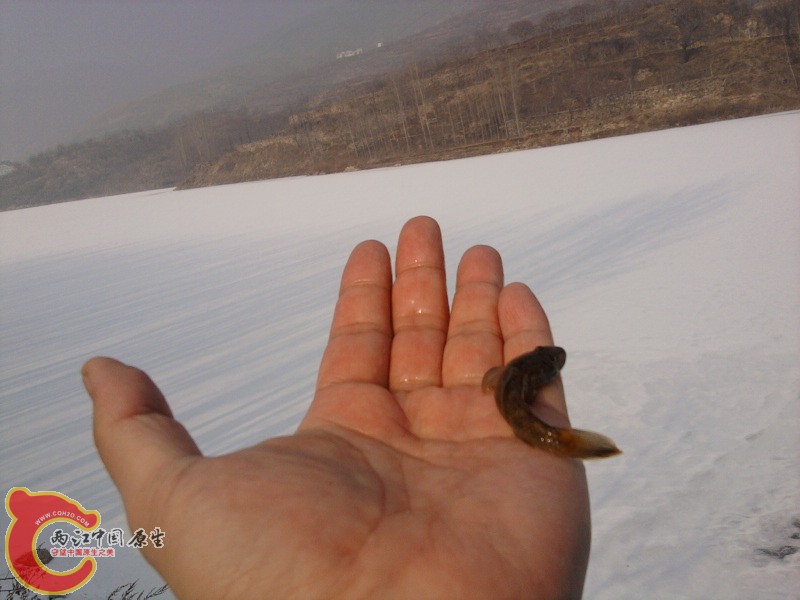 照片-0040.jpg