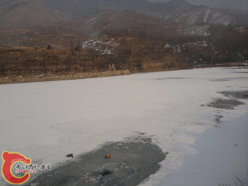 照片-0041.jpg