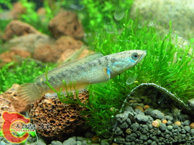 DSCN4375.JPG