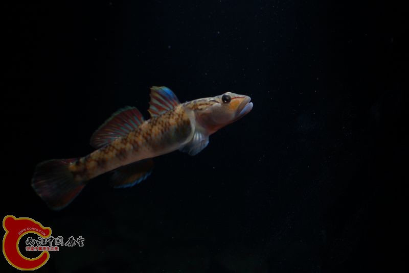 DSC_e8924.jpg