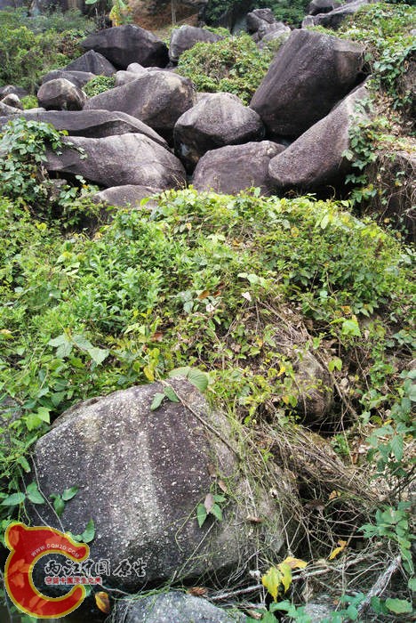 乱石岗 (53).jpg