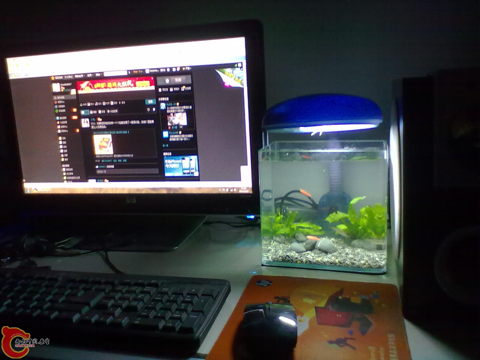 20130215428.jpg