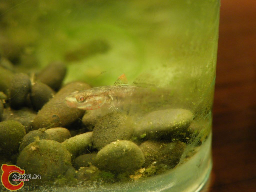 DSCF9532.JPG
