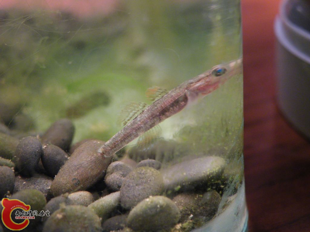 DSCF9534.JPG