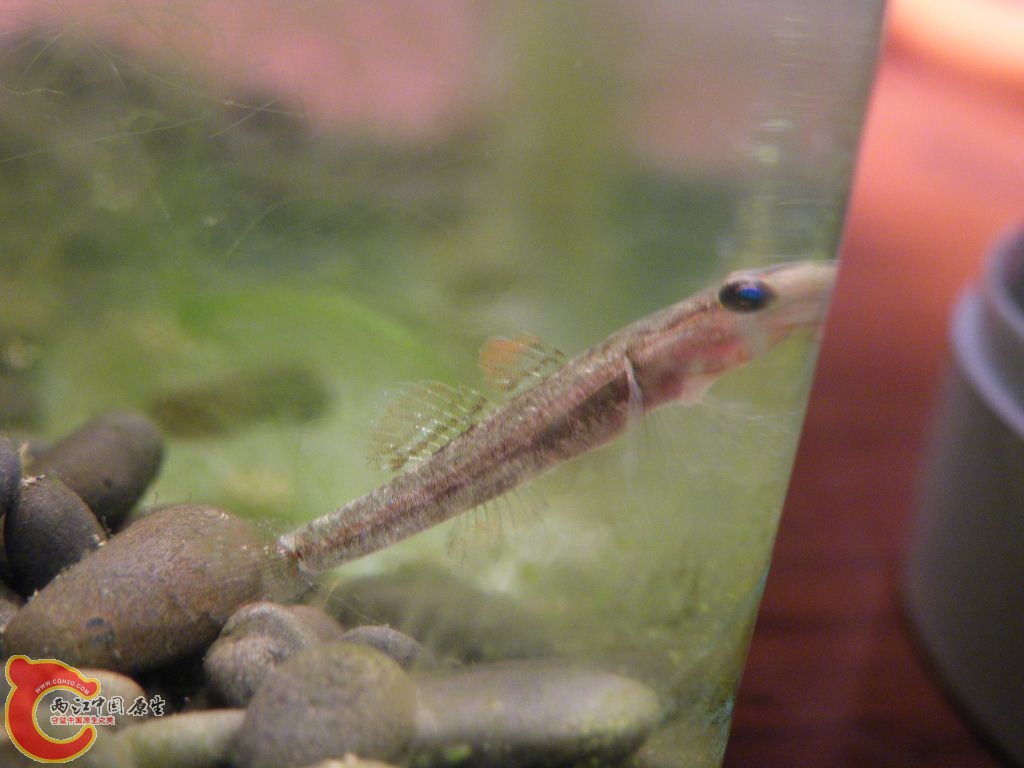 DSCF9535.JPG