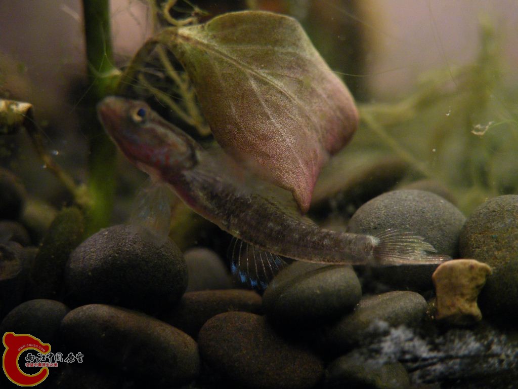 DSCF9536.JPG