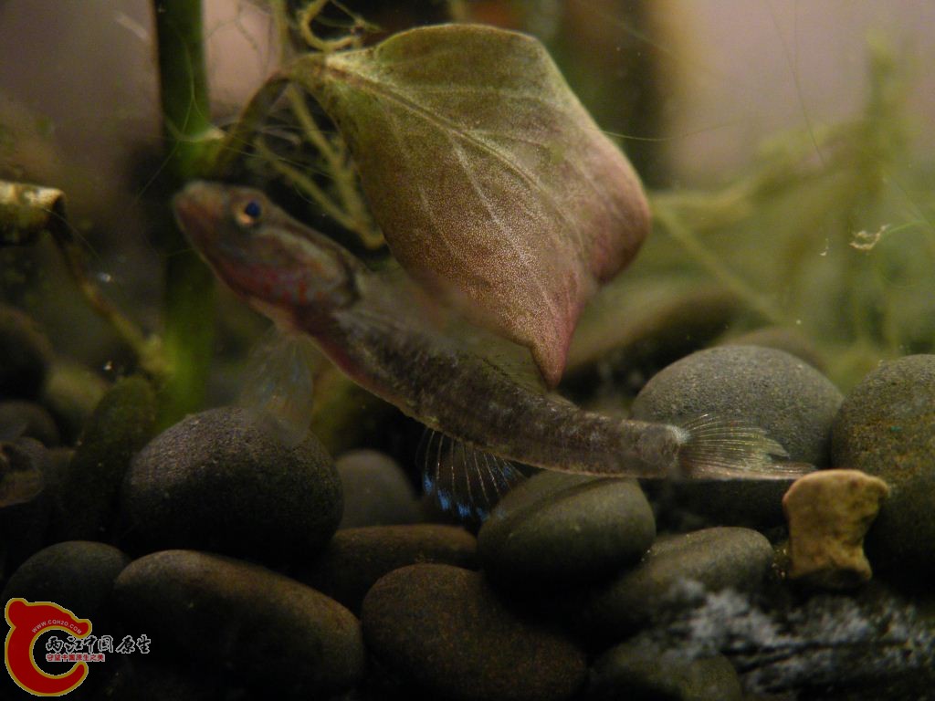 DSCF9537.JPG