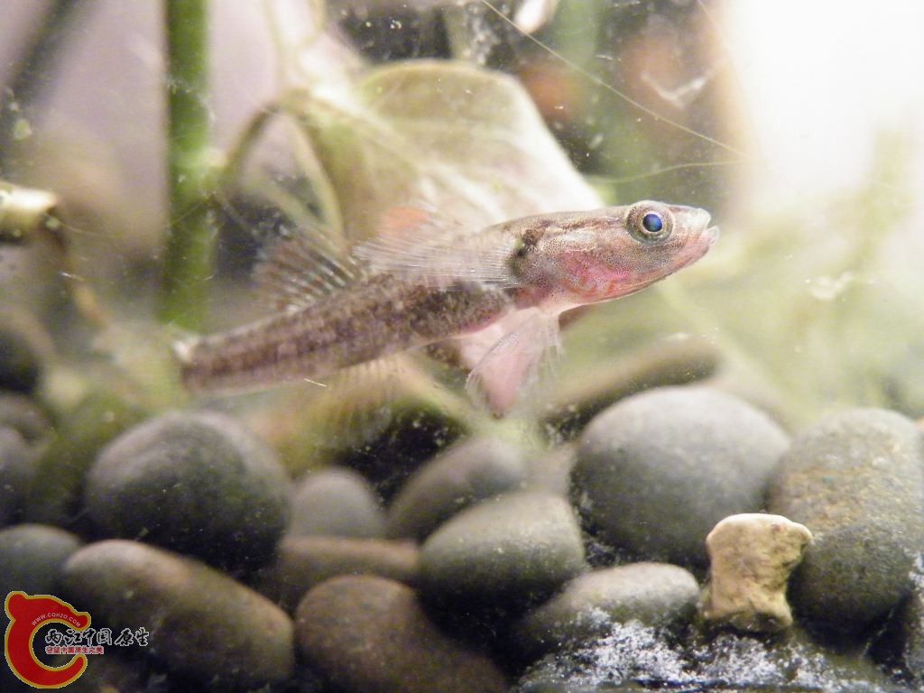 DSCF9538.JPG
