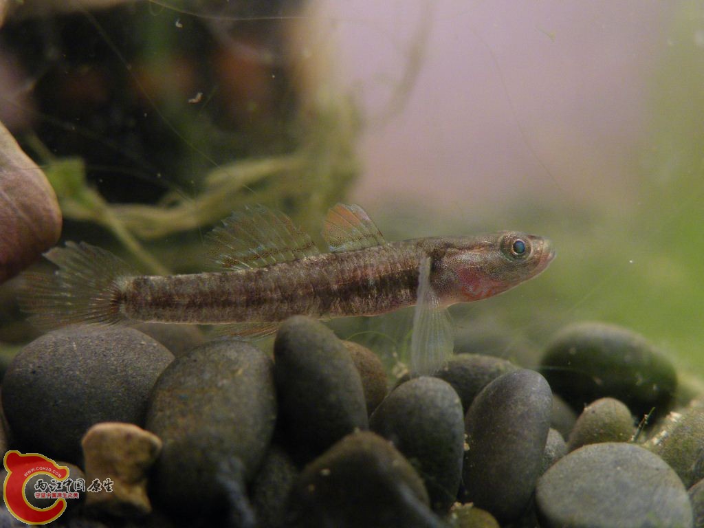DSCF9540.JPG