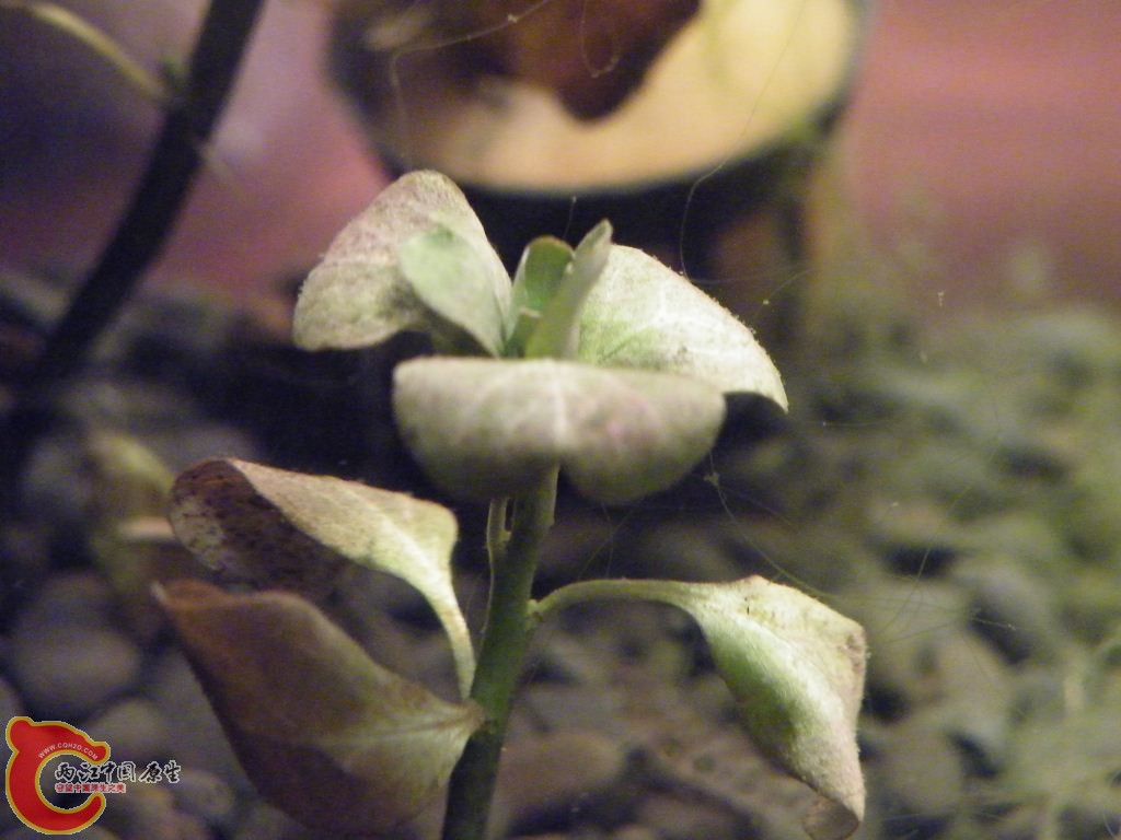 DSCF9545.JPG