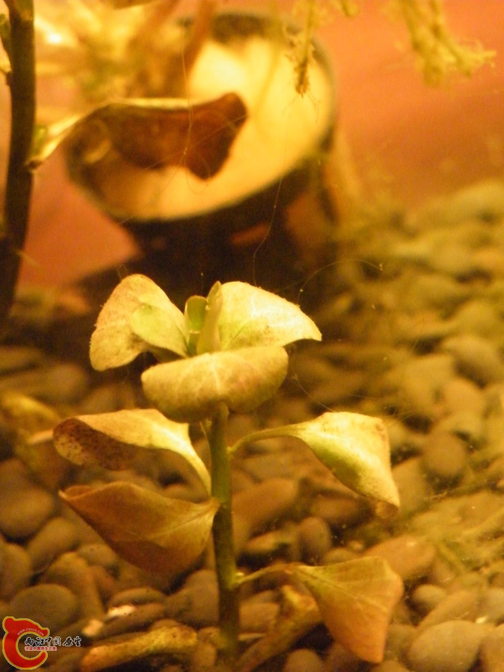 DSCF9546.JPG
