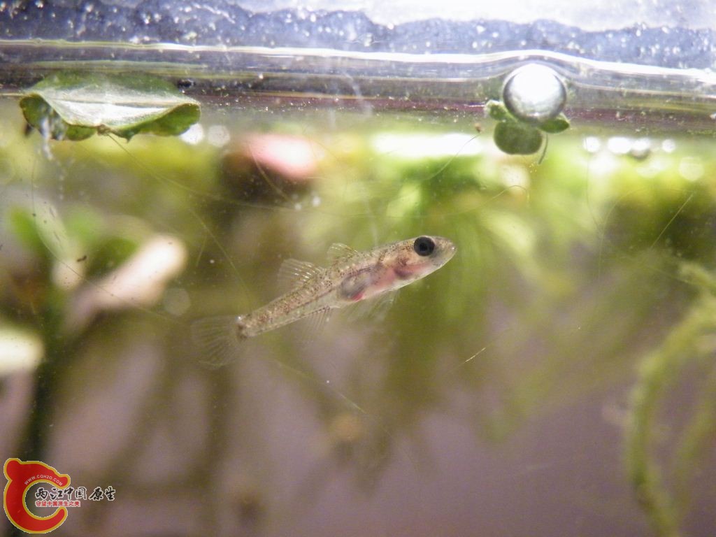DSCF9547.JPG