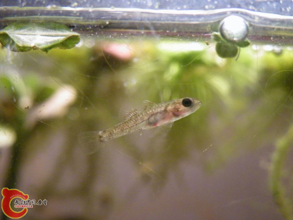 DSCF9548.JPG