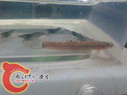 IMG20130224194024.jpg