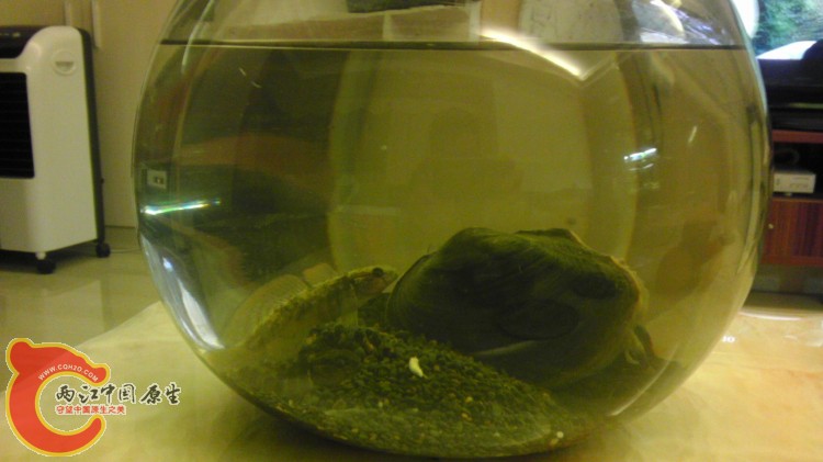 IMAG3055.jpg
