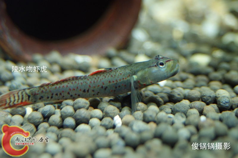 DSC04579_副本.jpg
