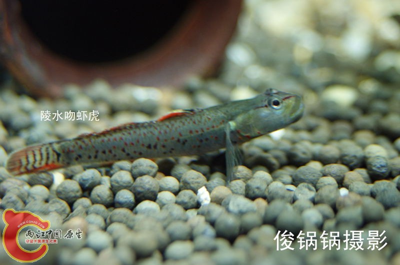 DSC04580_副本.jpg