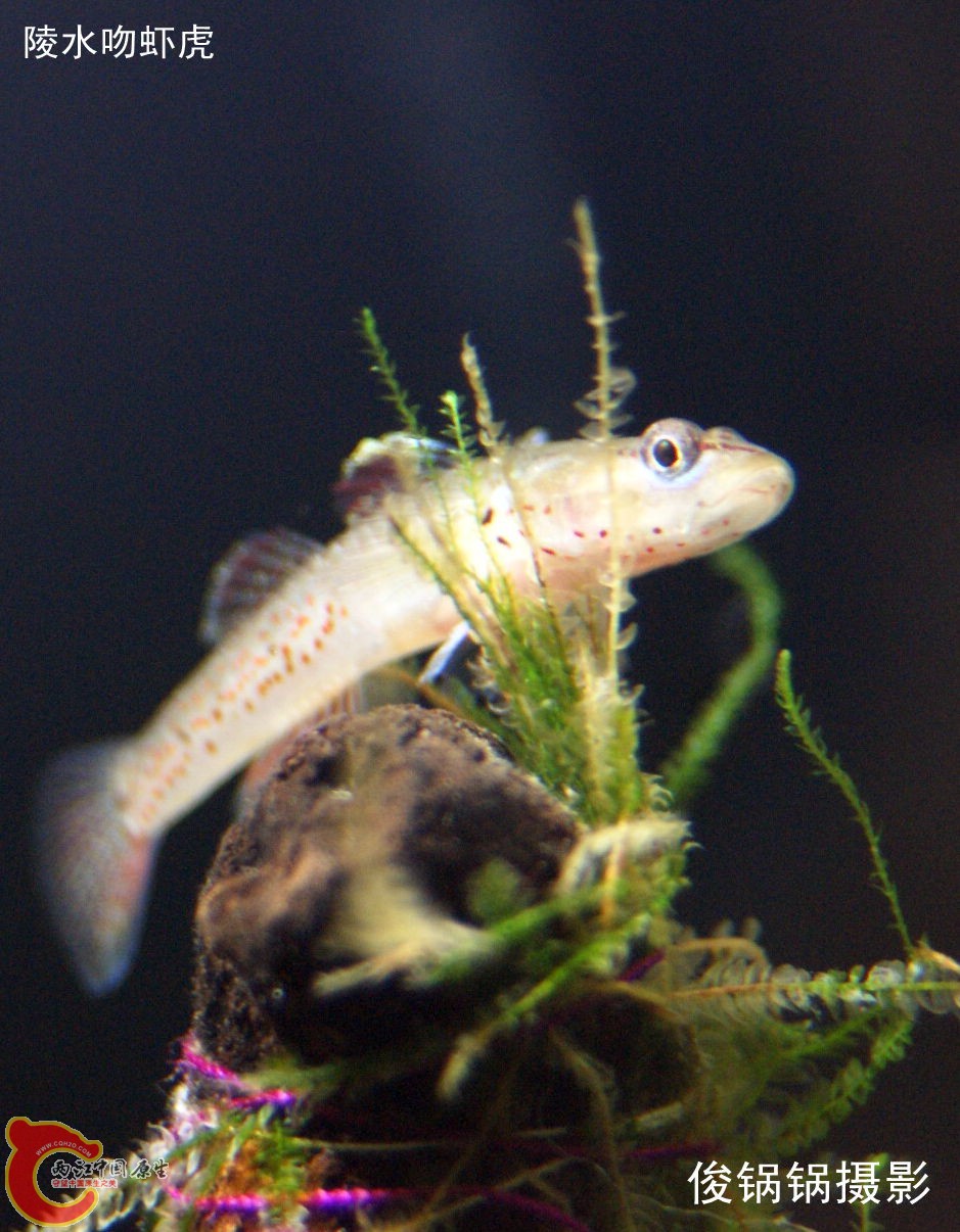 DSC04646_副本.jpg