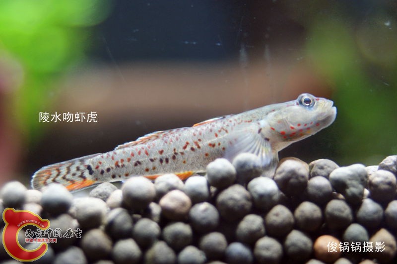 DSC04660_副本.jpg