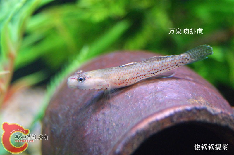DSC04635_副本.jpg
