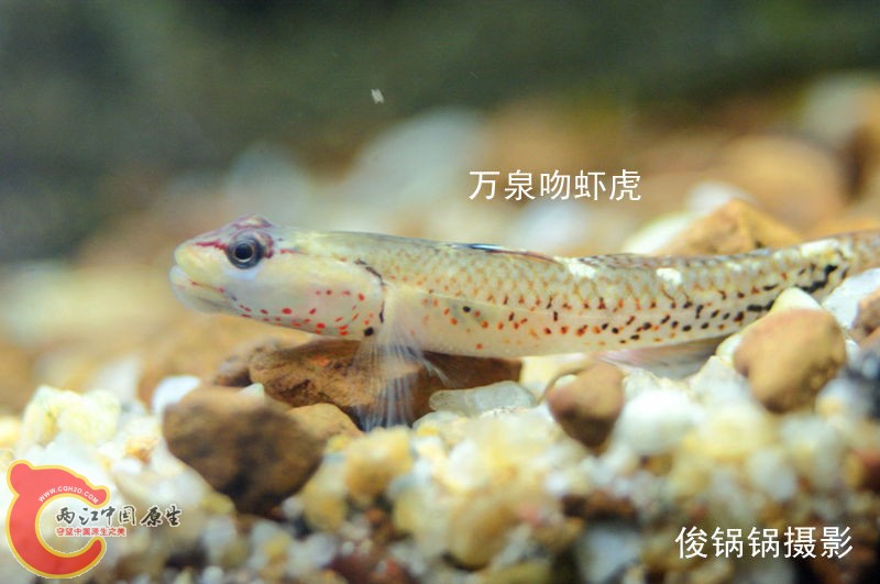 DSC04421_副本.jpg