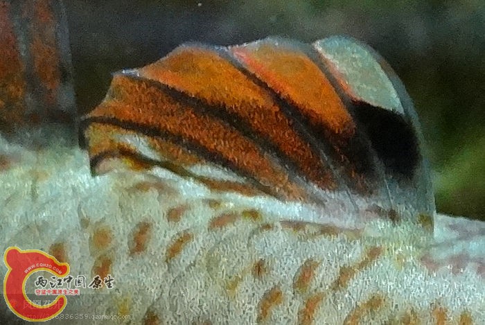 06.jpg