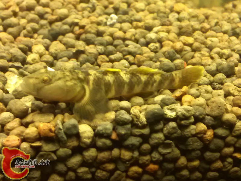 IMG_20130306_210235_副本.jpg