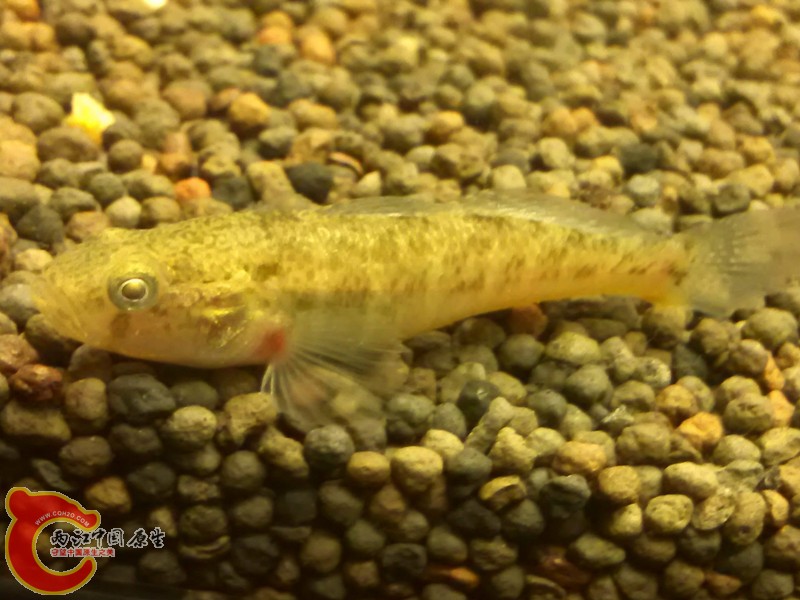 IMG_20130306_210312_副本.jpg