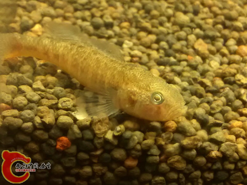 IMG_20130306_210323_副本.jpg