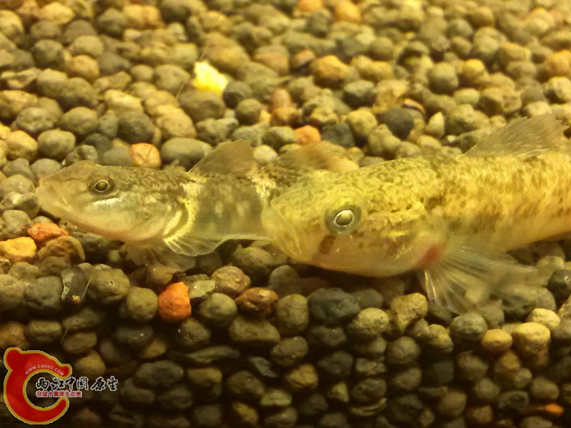 IMG_20130306_210337_副本.jpg