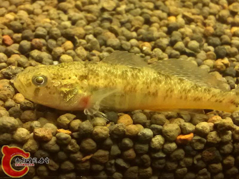 IMG_20130306_210416_副本.jpg