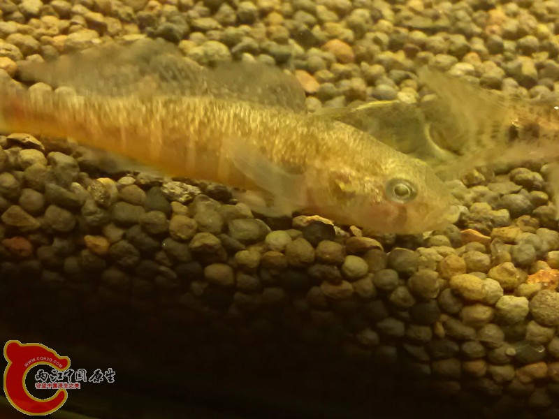 IMG_20130306_210439_副本.jpg
